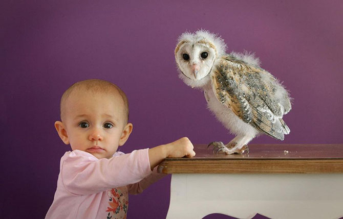 Животные в фотографиях