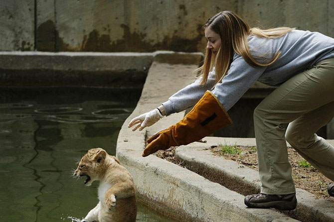 Животные в фотографиях