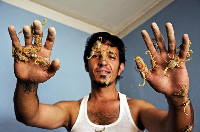 Животные в фотографиях