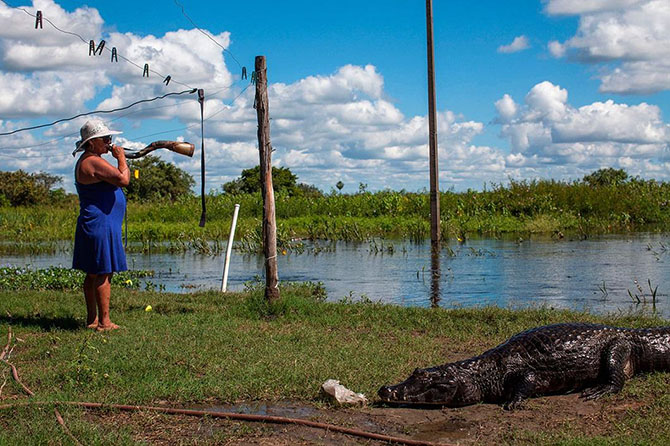 Животные в фотографиях