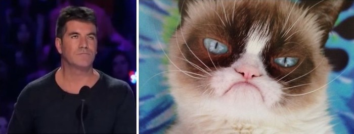 56 примеров забавного и неожиданного сходства