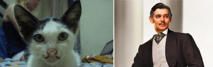 56 примеров забавного и неожиданного сходства