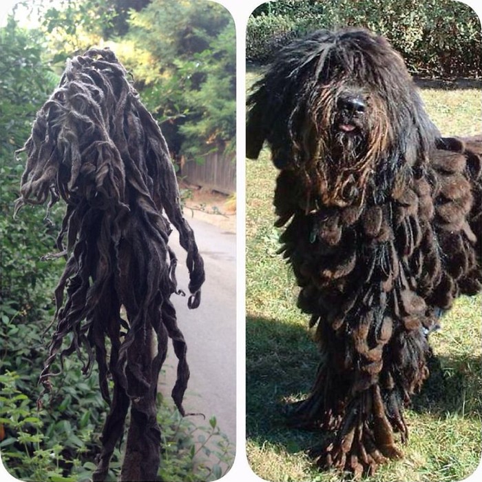 56 примеров забавного и неожиданного сходства