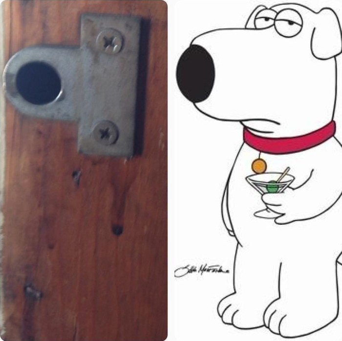 56 примеров забавного и неожиданного сходства