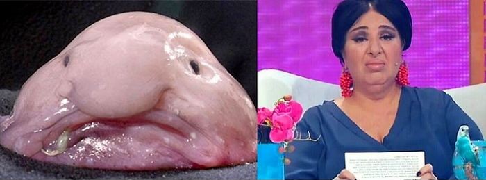 56 примеров забавного и неожиданного сходства