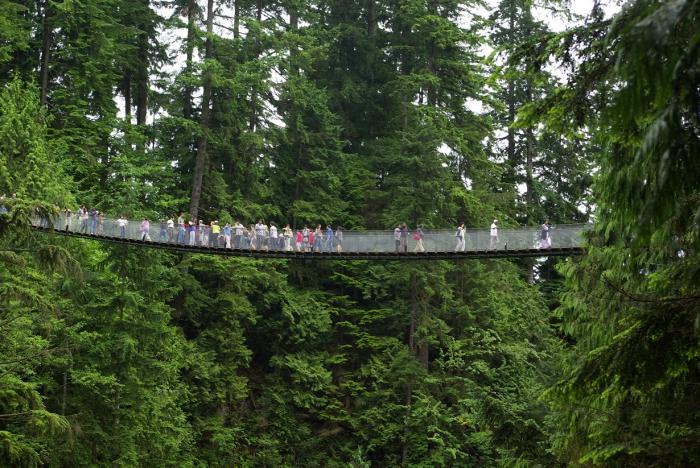 Экстремально туристические мосты (21 фото)