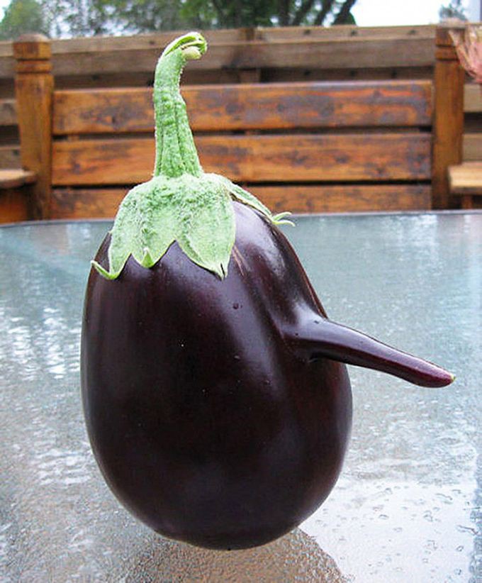 29 овощей, похожих на нечто иное