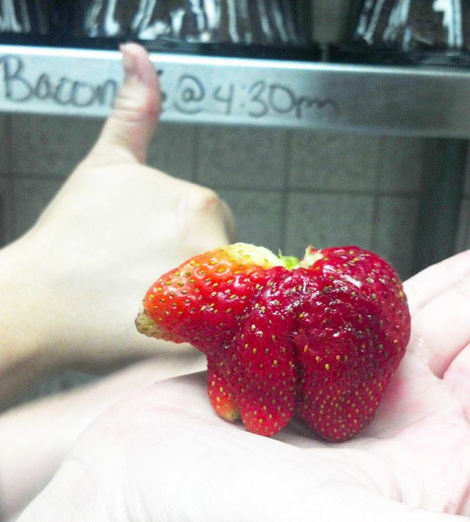 29 овощей, похожих на нечто иное