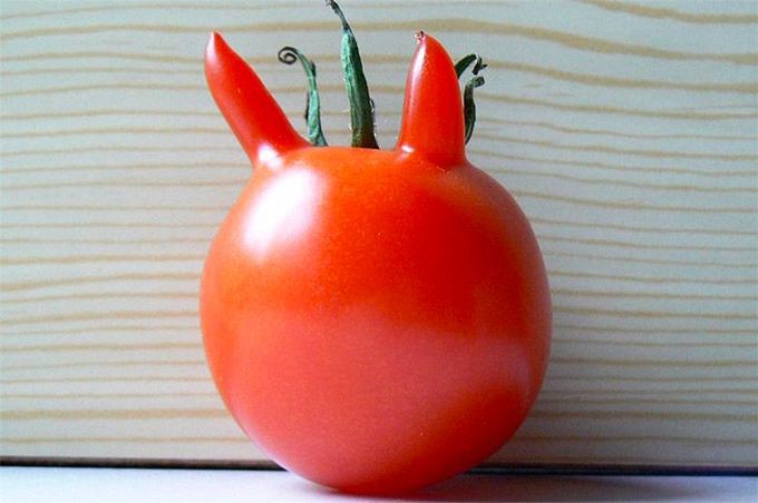 29 овощей, похожих на нечто иное