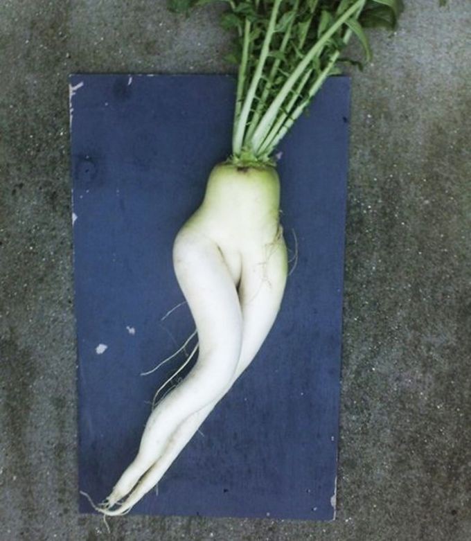 29 овощей, похожих на нечто иное