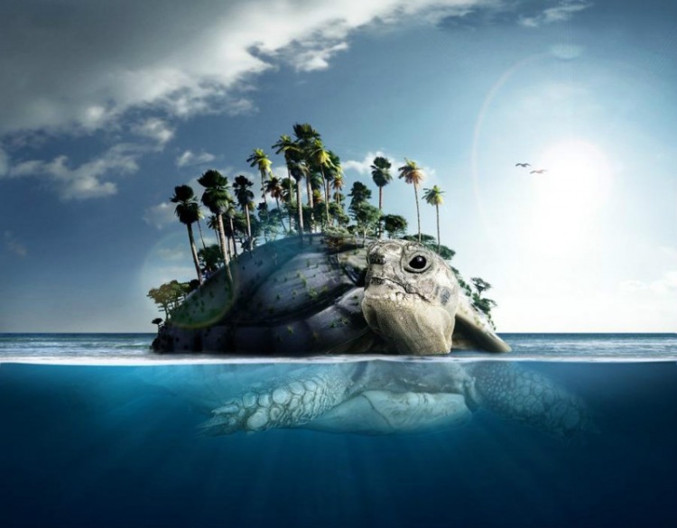 20 очень необычных фотографий животных