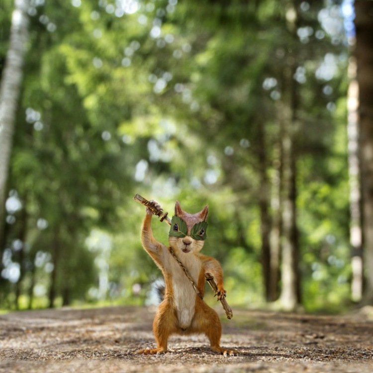 20 очень необычных фотографий животных