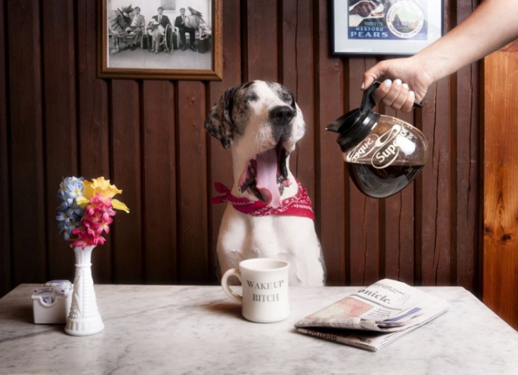 20 очень необычных фотографий животных