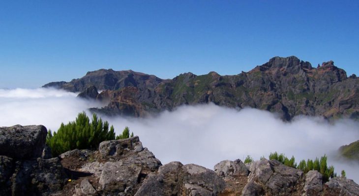 Удивительная солнечная Португалия, в которую невозможно не влюбиться