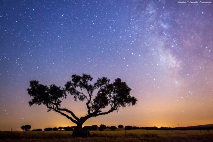 Удивительная солнечная Португалия, в которую невозможно не влюбиться