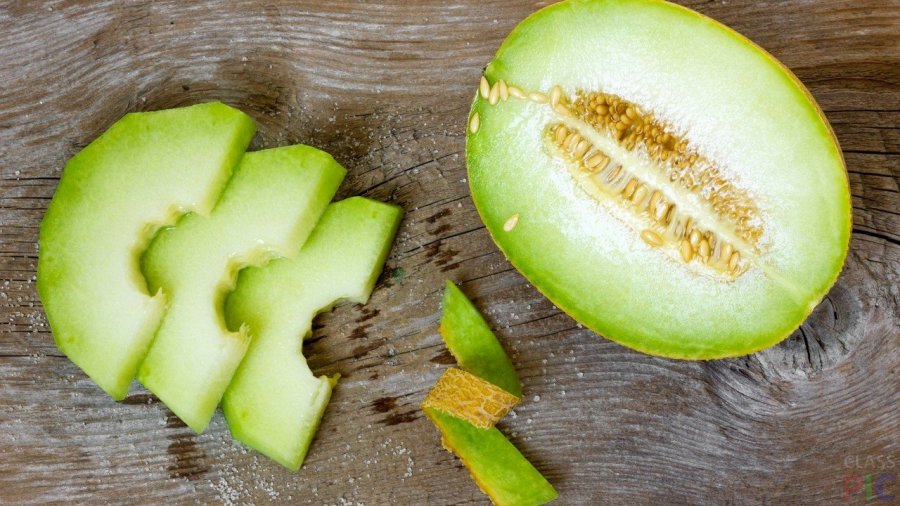 Факты о дыне