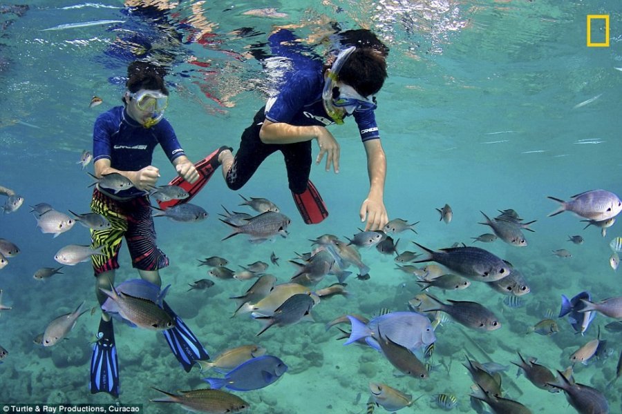 Лучшие пляжи мира по мнению National Geographic