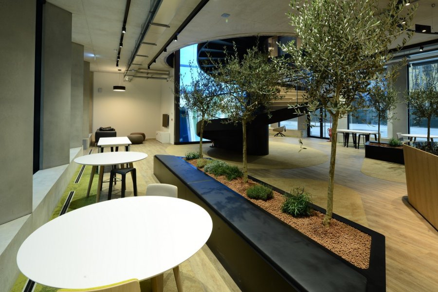 Как выглядит новый офис Microsoft в Италии