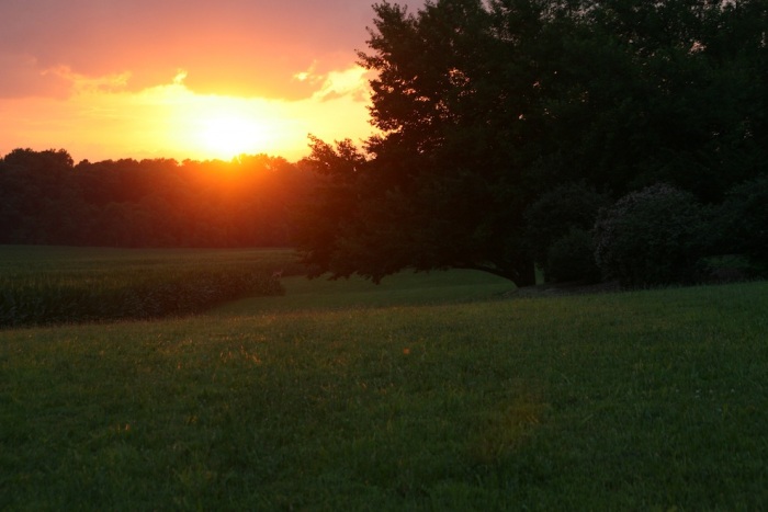 Закаты Пожар в небе