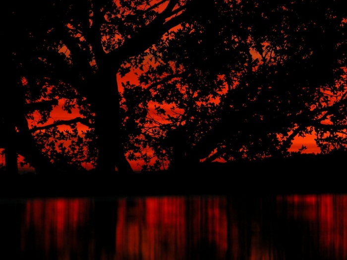 Закаты Пожар в небе