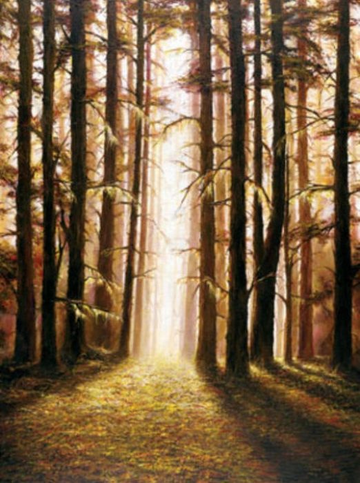 Акиане Крамарик - талантливый художник (49 фото)