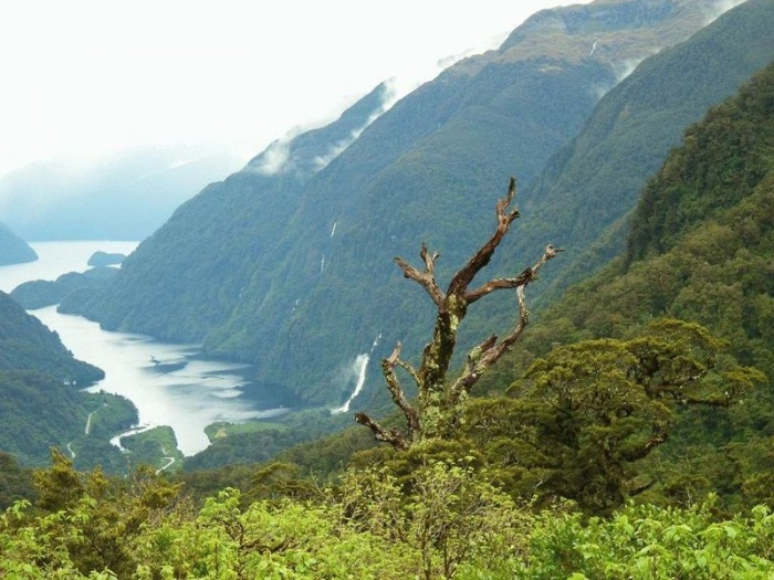 Фьорд Милфорд Саунд (9 фото)