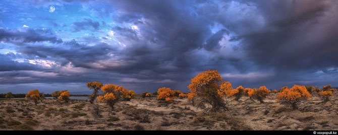 Красота по-казахстански