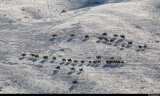 Красота по-казахстански
