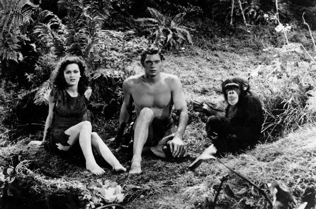 10 самых известных животных-художников