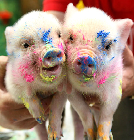 Пикассо из мира животных