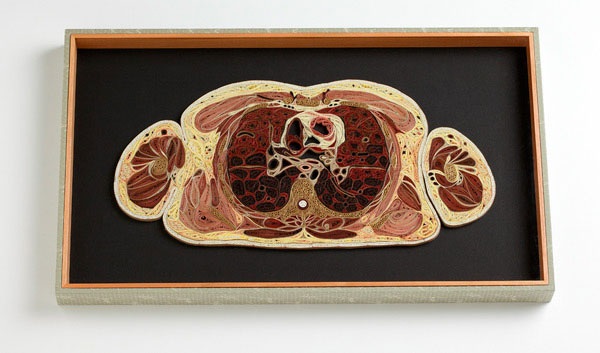 Бумажная анатомия