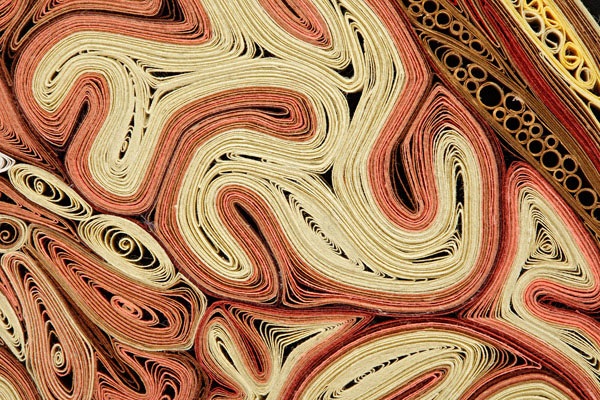 Бумажная анатомия