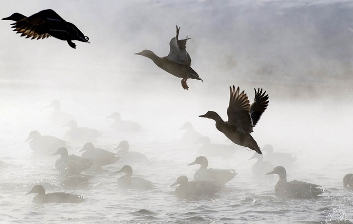 Европу сковало морозами