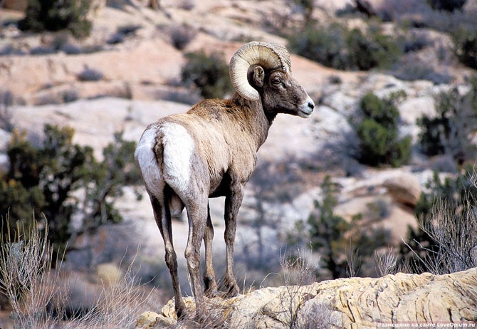 Национальный парк Арки