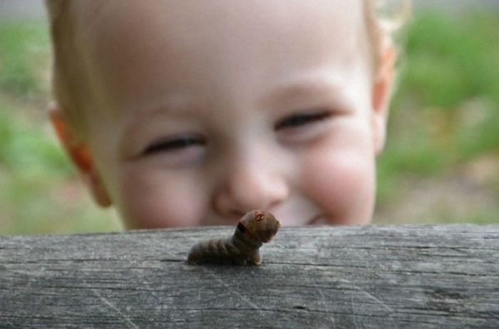 Фотографии, на которые невозможно смотреть равнодушно (36 фото)