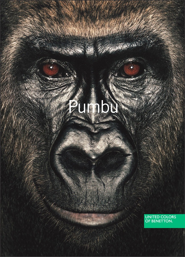 Социальная реклама United Colors of Benetton, шокирующая мир