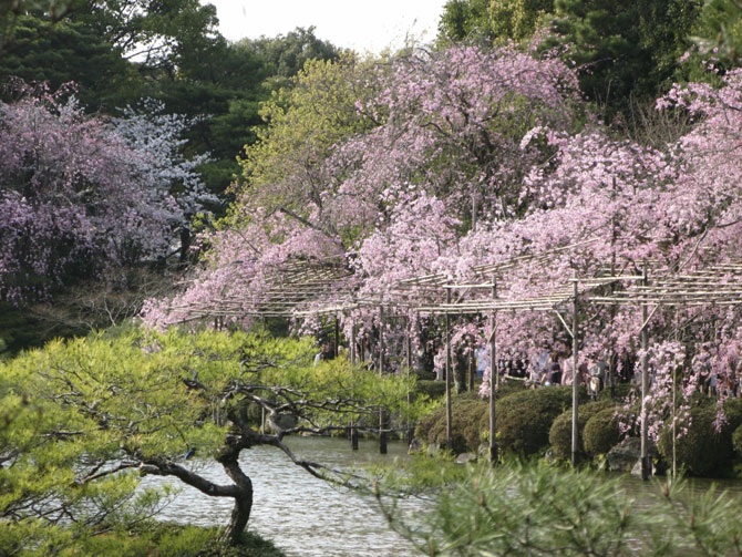 Японские сады храма Хэйан-джингу