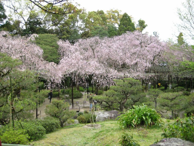 Японские сады храма Хэйан-джингу