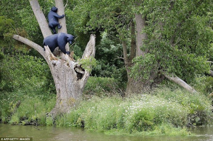 Во Франции прошел фестиваль сюрреалистичного искусства (8 фото)