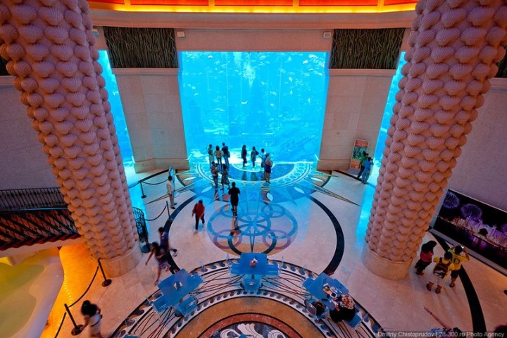 Шикарный номер за 50 000$ (37 фото)