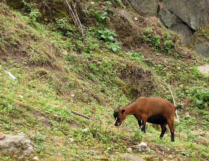 Как выглядят маленькие провинциальные города в Европе