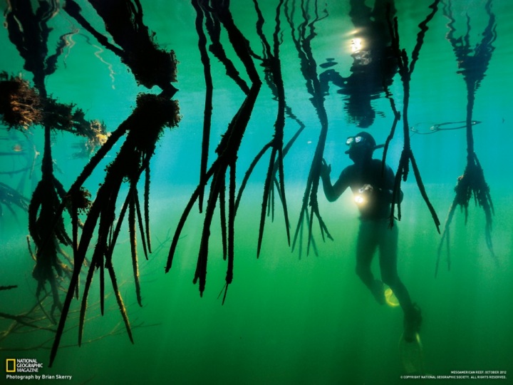 Обои для рабочего стола от National Geographic за сентябрь 2012