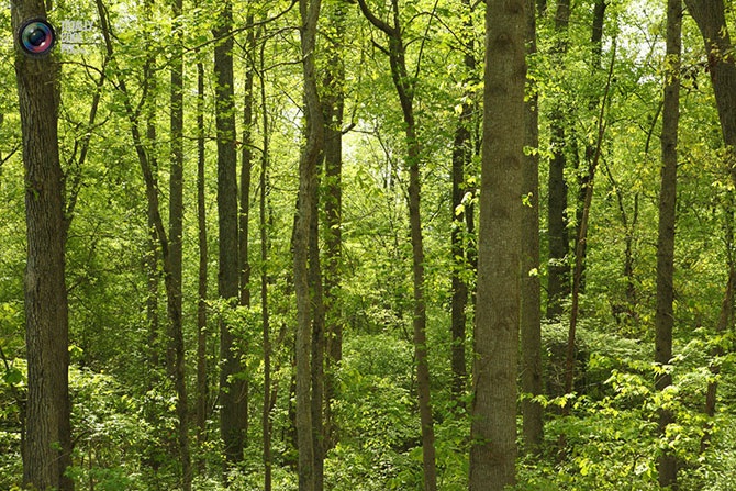 Планета Земля