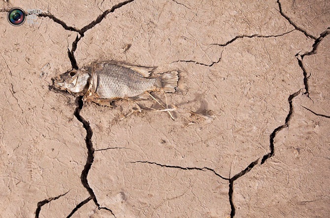 Планета Земля