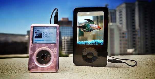 Необычный дизайн аквариумов