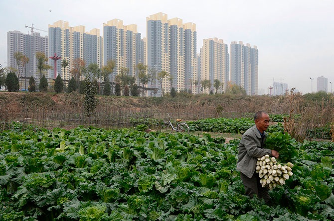 Китай 21-го века