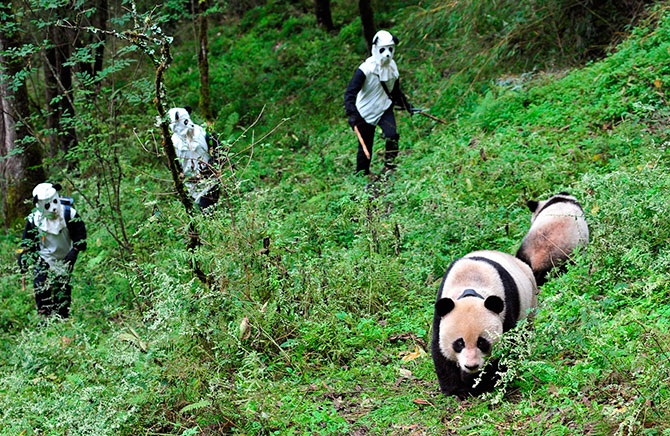 Китай 21-го века