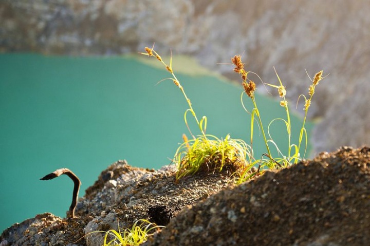 Индонезийские трехцветные озера (20 фото)