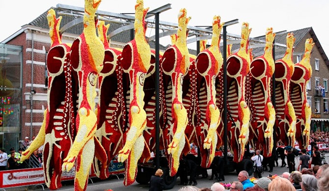 Парад цветов в Нидерландах