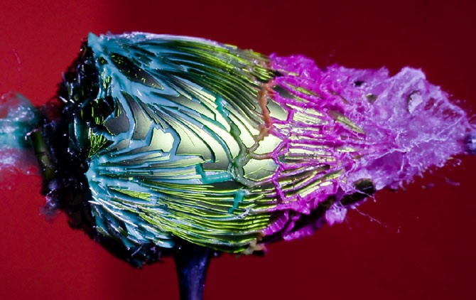 Уничтожение вещей